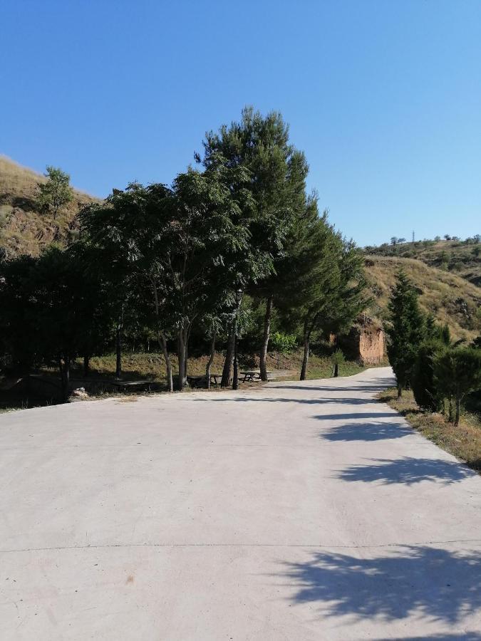 Apartamentos Rurales Camino Del Cid Castejón de las Armas 외부 사진