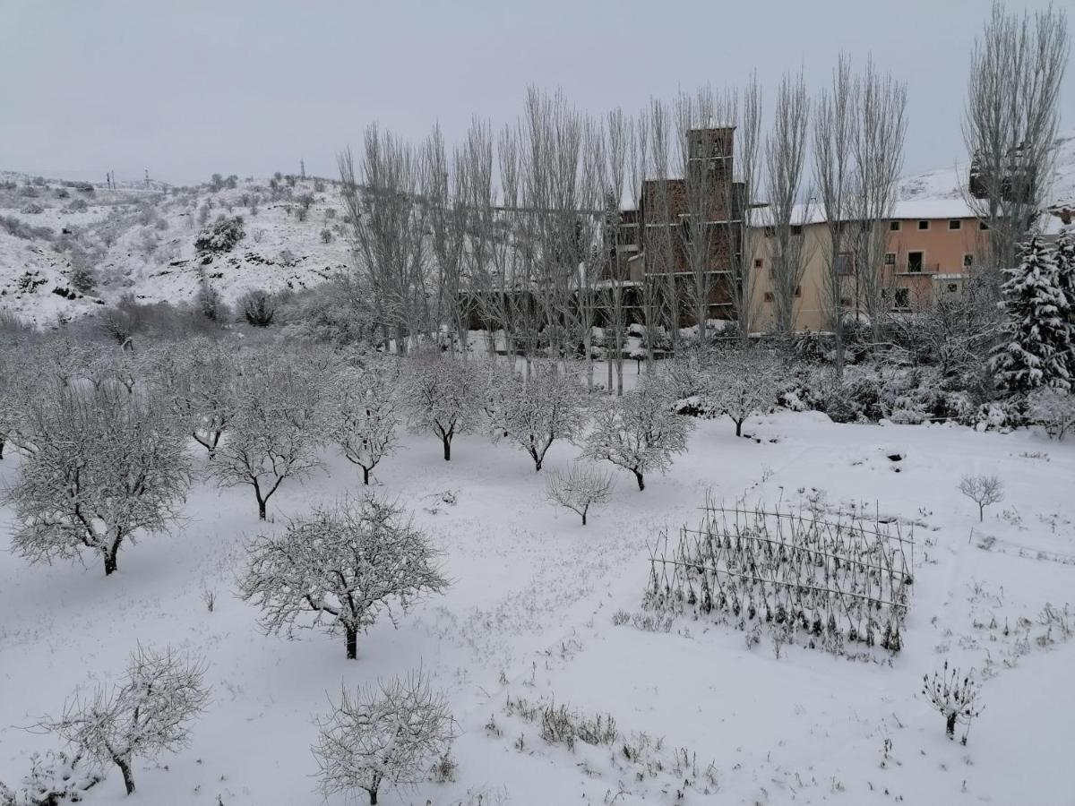 Apartamentos Rurales Camino Del Cid Castejón de las Armas 외부 사진