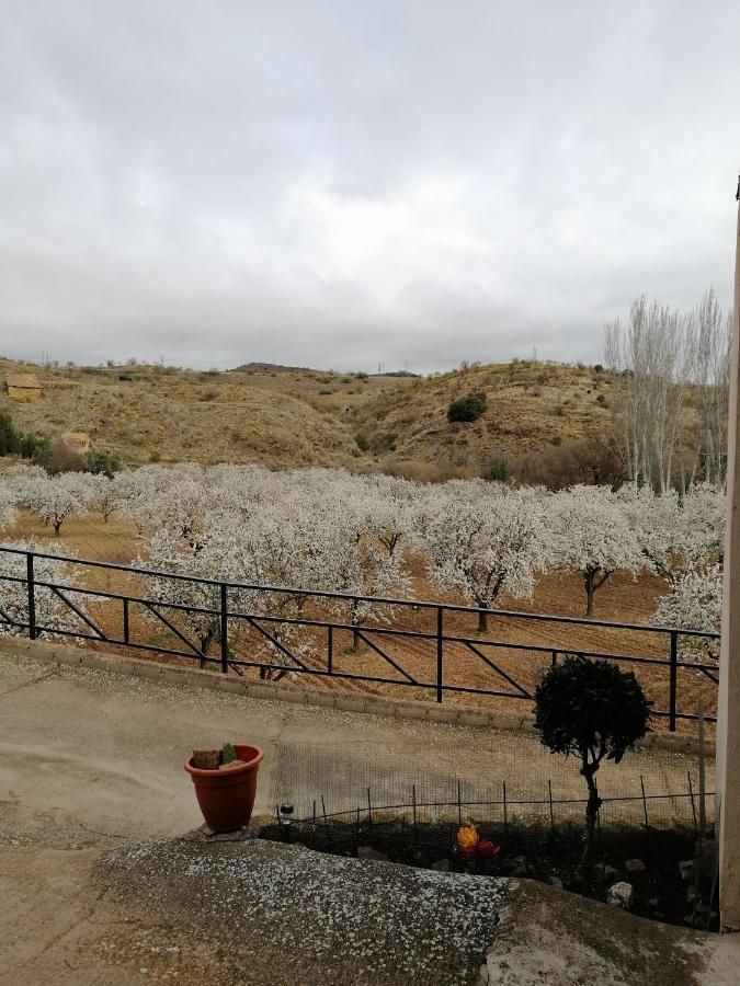 Apartamentos Rurales Camino Del Cid Castejón de las Armas 외부 사진