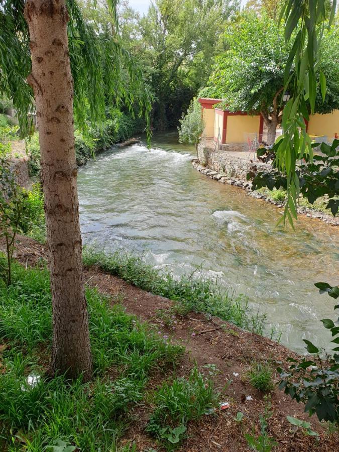 Apartamentos Rurales Camino Del Cid Castejón de las Armas 외부 사진