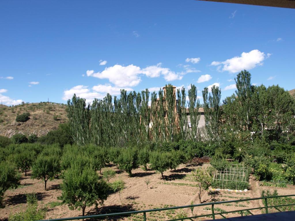 Apartamentos Rurales Camino Del Cid Castejón de las Armas 외부 사진