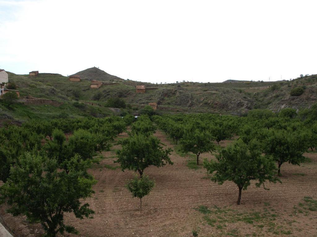 Apartamentos Rurales Camino Del Cid Castejón de las Armas 외부 사진