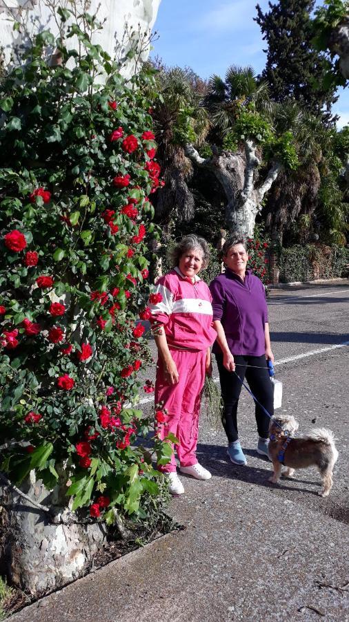 Apartamentos Rurales Camino Del Cid Castejón de las Armas 외부 사진